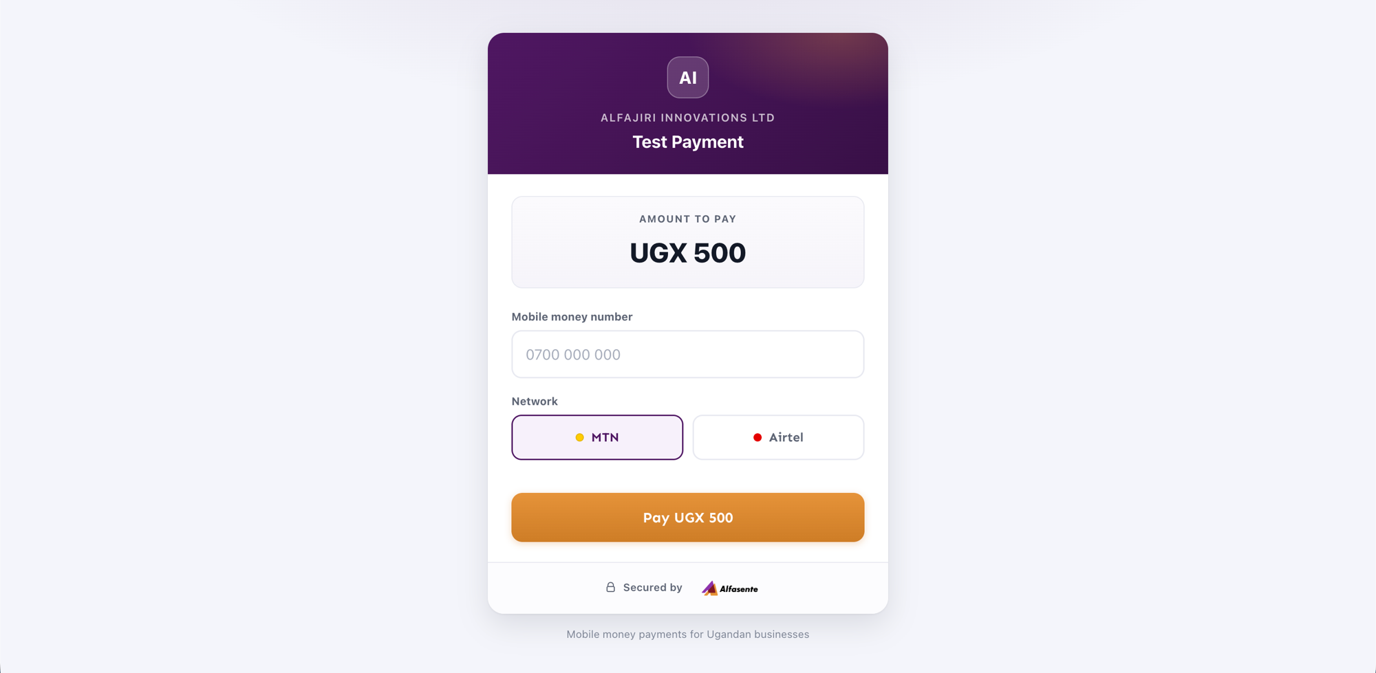 The public pay page a customer sees, showing the business name, amount, mobile money number field, and network choice